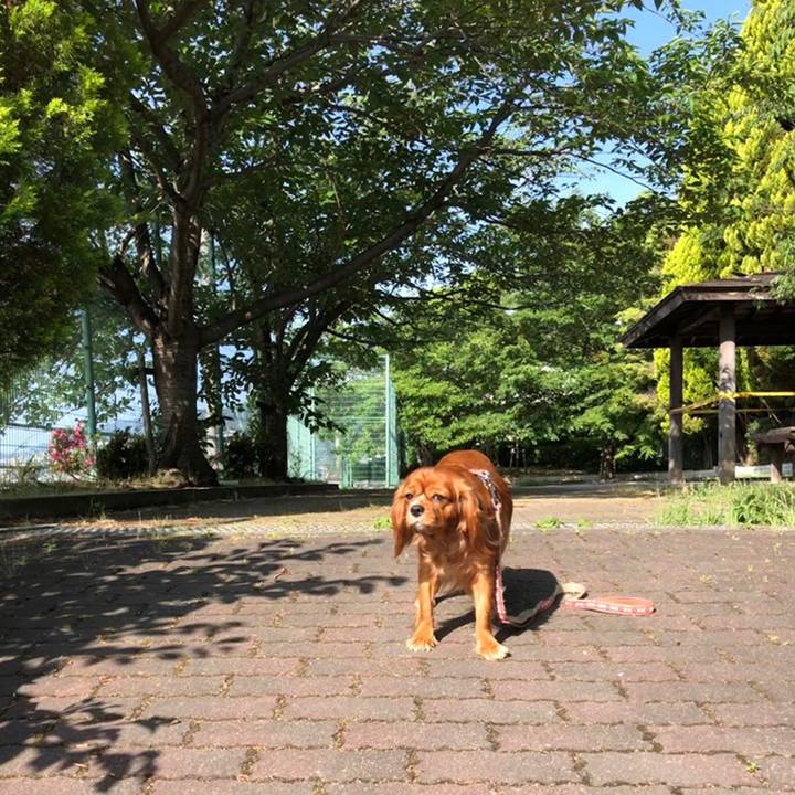 28237e79 3b16 4e4a 84e1 b05a4979983a 1560514800228