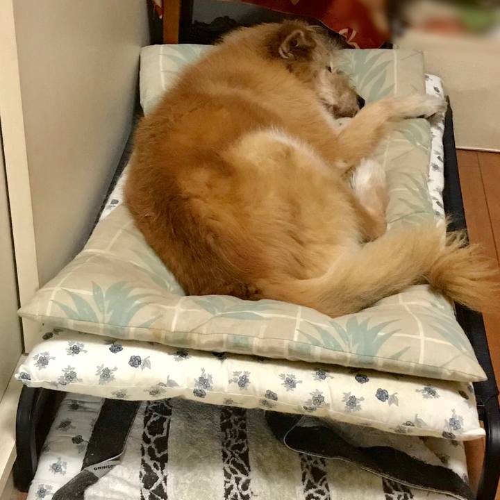 2823bfed 725a 4200 a461 056d763f98e0 1606842877788