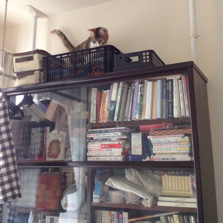 2823e74b 2823 4837 a9b6 362fdbdb3cb7 1642902987910