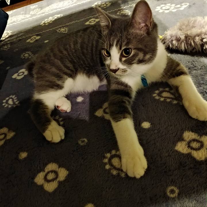 2823fca5 5b8c 4420 a52d 55bc37be0e20 1571060656006