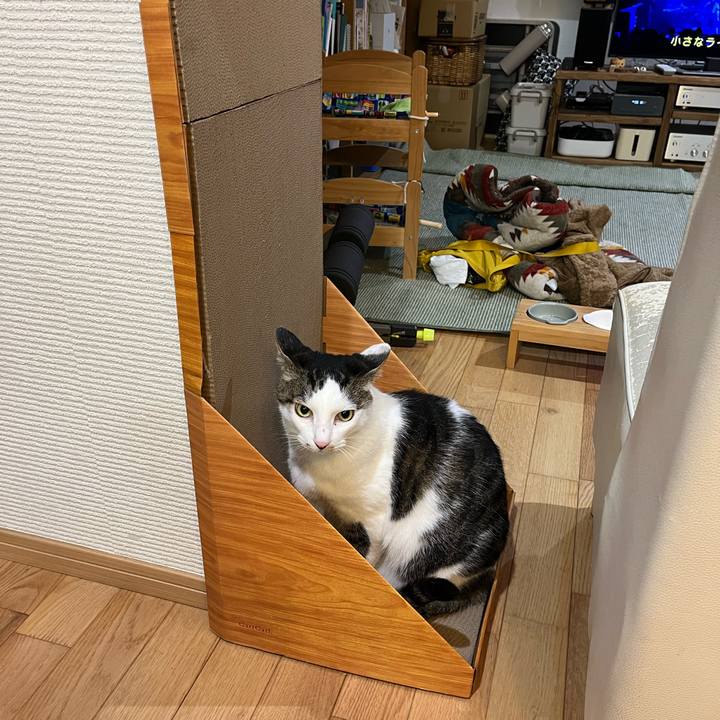 28241ef0 8aa1 4ddc b9ae 764e83e1fe2a 1734925345544