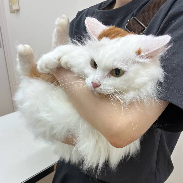 28242a06 a1b5 4bcb 91ac ad7e10c4363e 1760153181362