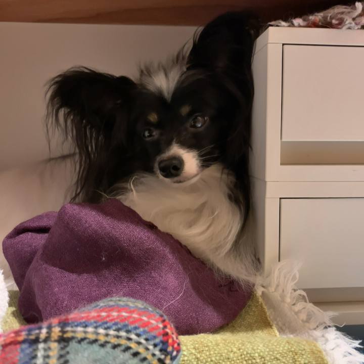 28245035 0151 4b92 a05f 89de9fd1f466 1563979075245