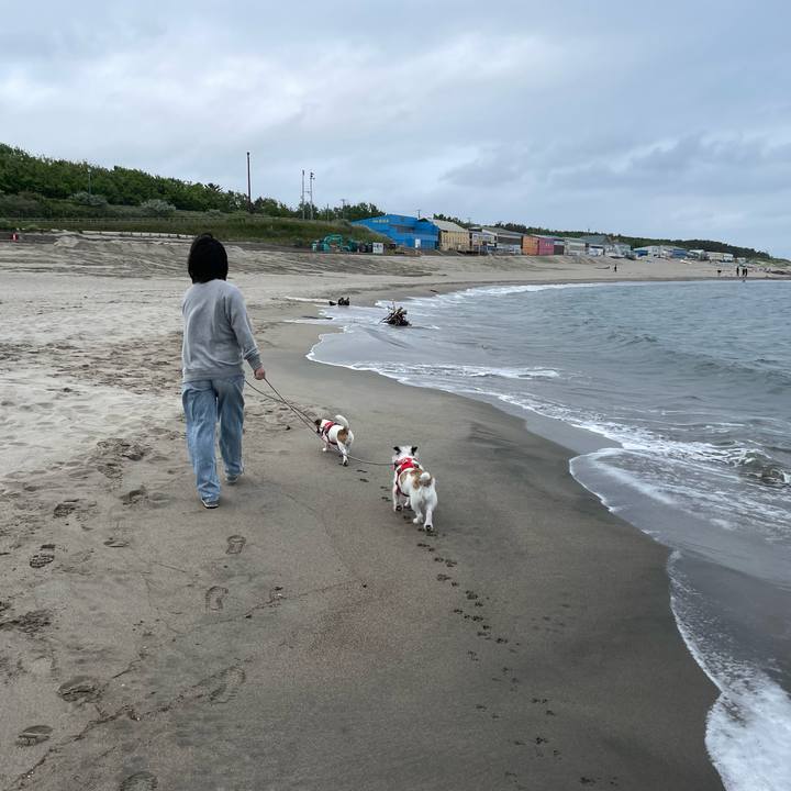 28245686 009b 4029 a354 cb0d2f0fdc80 1654991708109