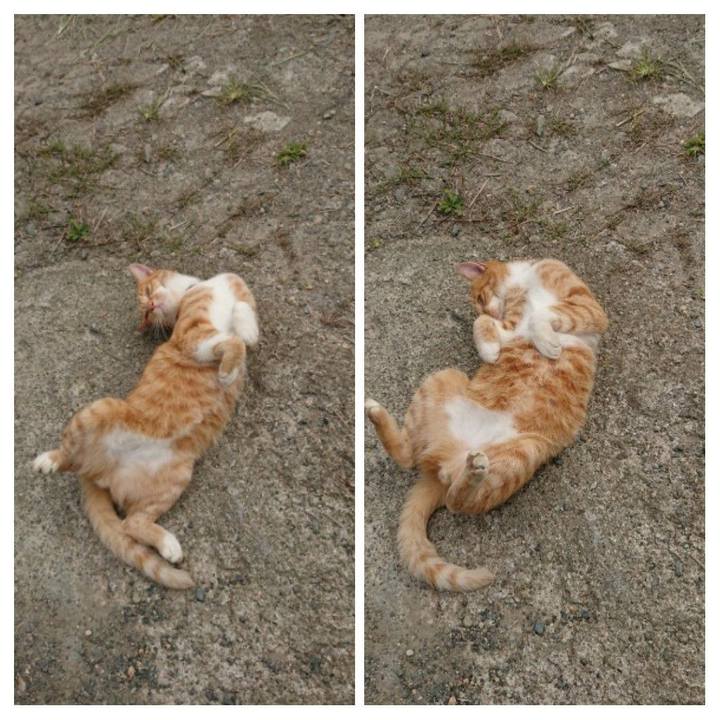 2824582e d08f 4460 b0e0 aff741583132 1600743407952