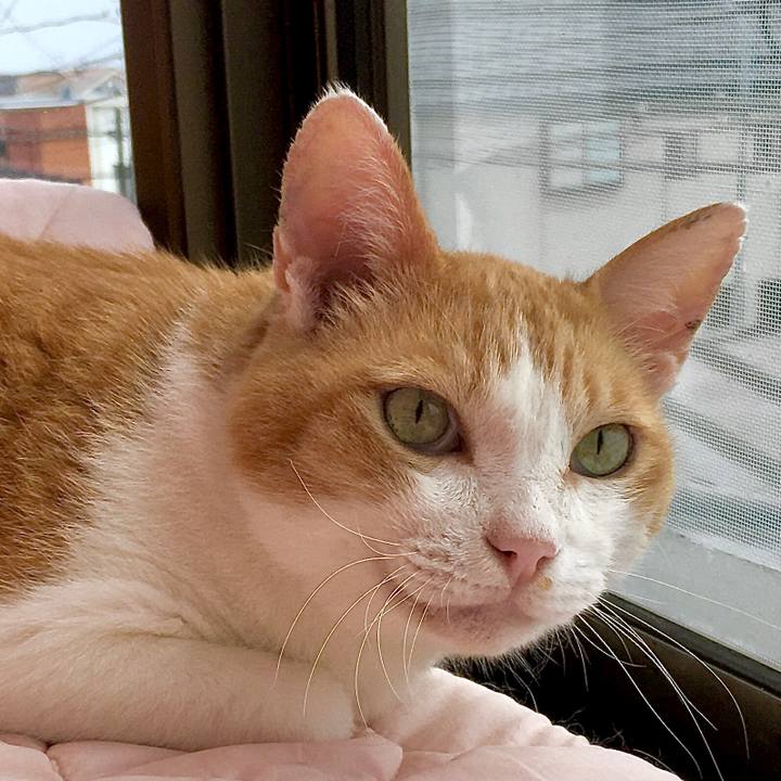 282496a3 a8f6 4a00 bfb3 2f8209497ede 1600066559018