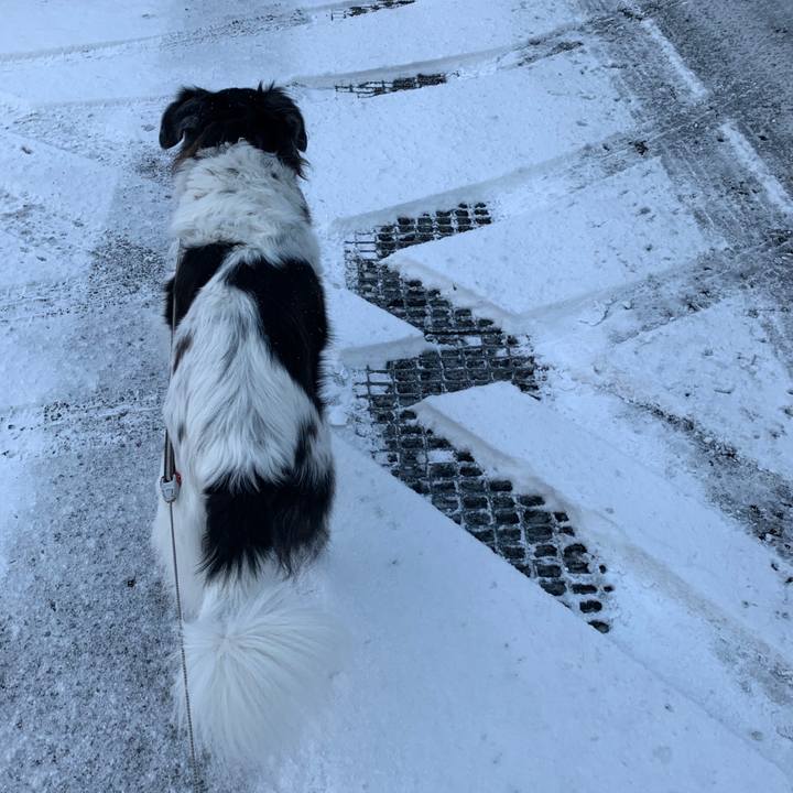 2824ad65 4dbf 4222 9db4 dc57aa85fa32 1582033149642