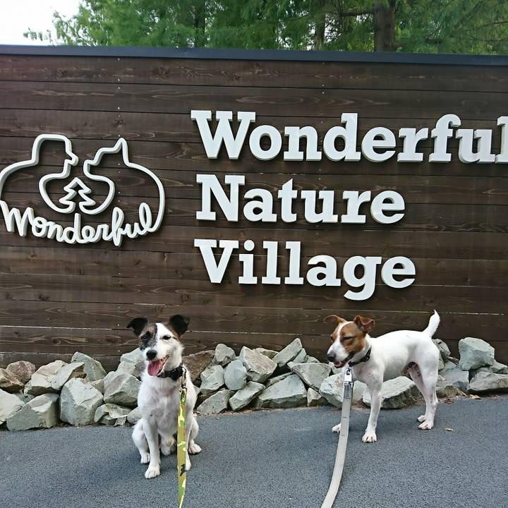 2824bd77 5de2 4822 b1c5 f5f33845f113 1531906440190