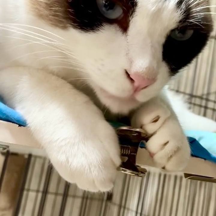 2824c978 8ce6 493e bacf 02b7990a973e 1753437446367