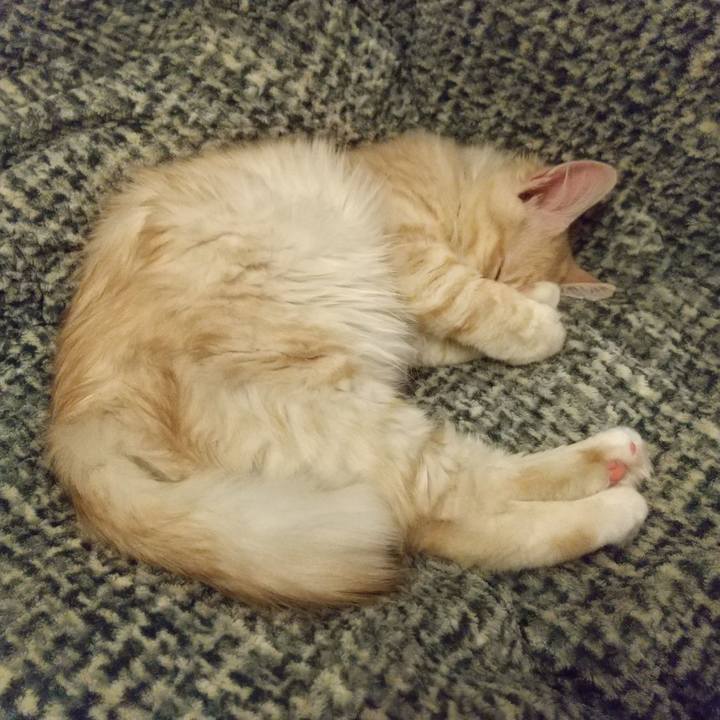 2824d627 9601 473e 8885 36cc225e9c46 1608912699049