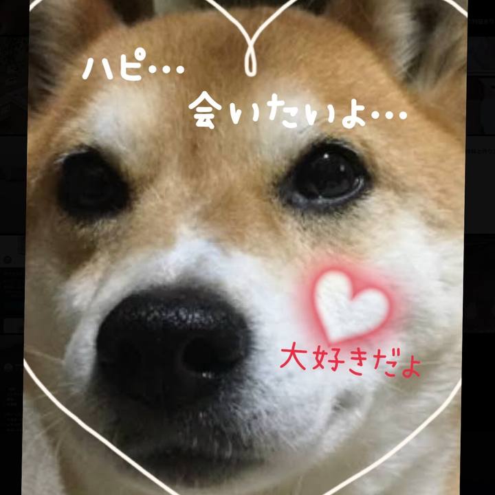 28251d47 d5a0 40df 86ac 76a973dc17a6 1752306682610