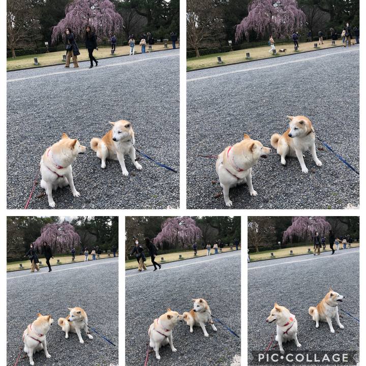 28255e5f 0b88 4fcc a8ca 95eaccff66a1 1584449067774