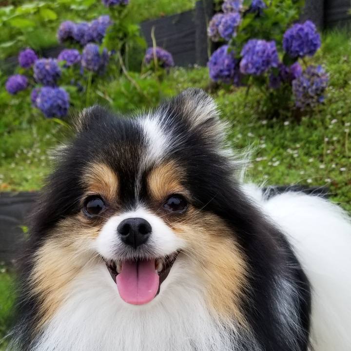 282563a7 7aa6 41da 80f5 5b21c5e98bd4 1529721690899