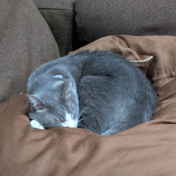 2825678f 4f13 4472 ba29 ed5185d49387 1734792710416