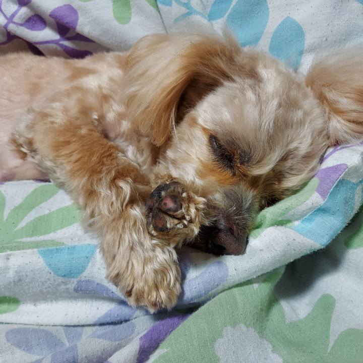 28256e8c 3099 4fae 9578 5c3532fea546 1680440251490