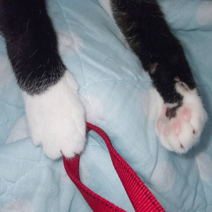 282597f8 ece1 48e9 abf0 81986822c612 1526468462839