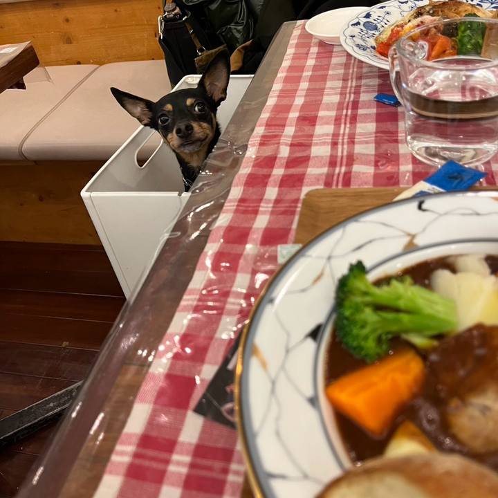 2825a8c6 e5ed 4114 b052 cb346074ce57 1765948350986