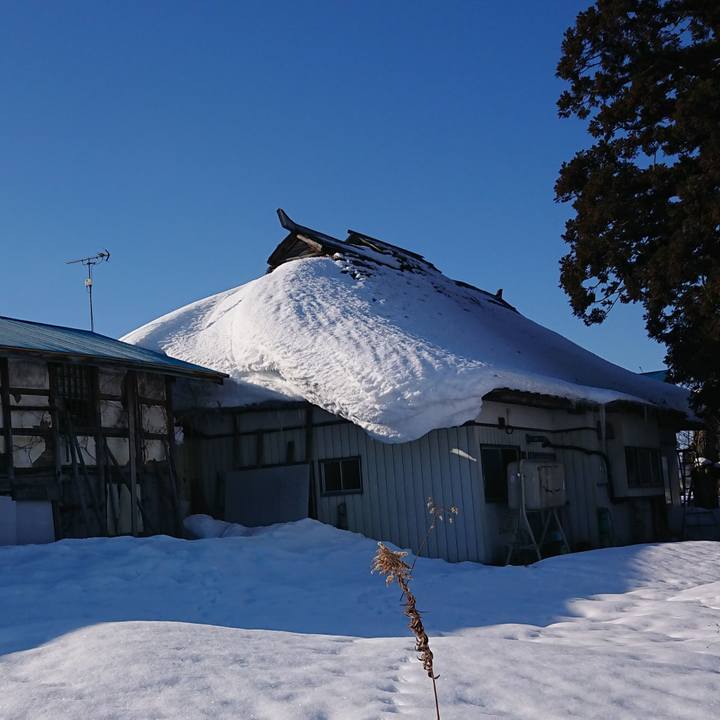 2825bbc2 6cd7 44c2 8cd2 d2ce40a24c68 1641784454658