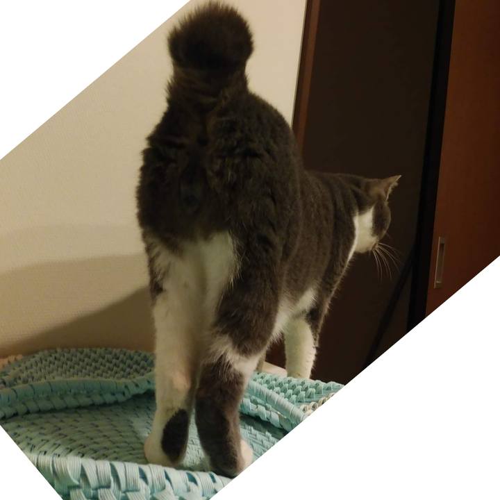 2825d0ca 5fa7 47ff 9f48 9ebd806742a9 1652702313767