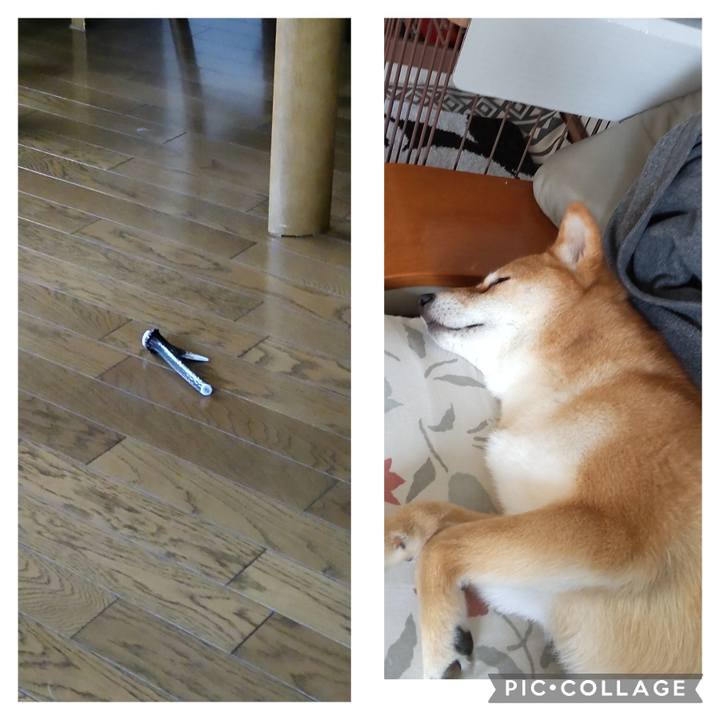 2825f222 9f18 48a1 9369 b4b851507006 1683017141855