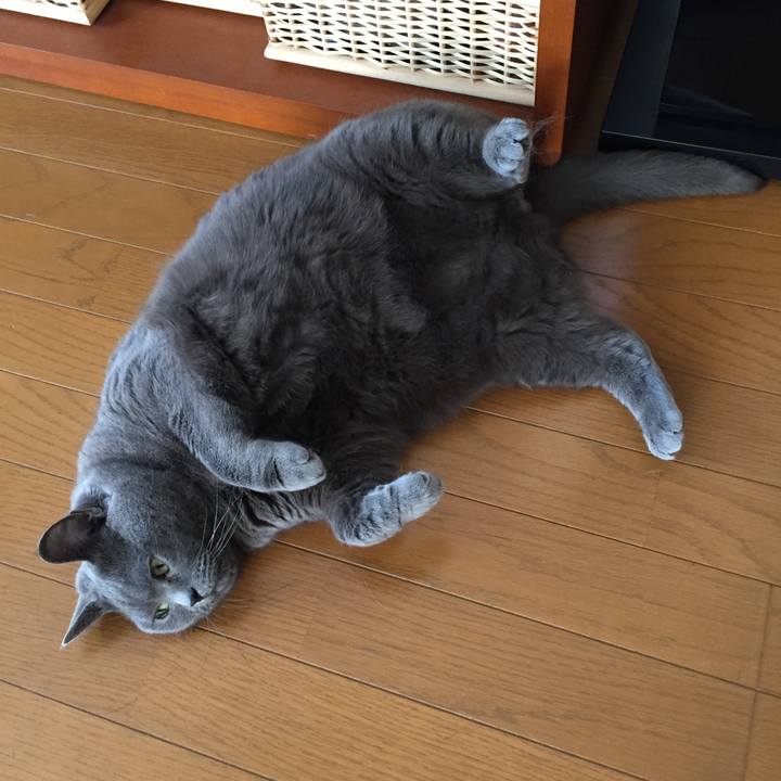 2825ff63 67b1 4dbc 9e9b cdb994d926c9 1522798379510