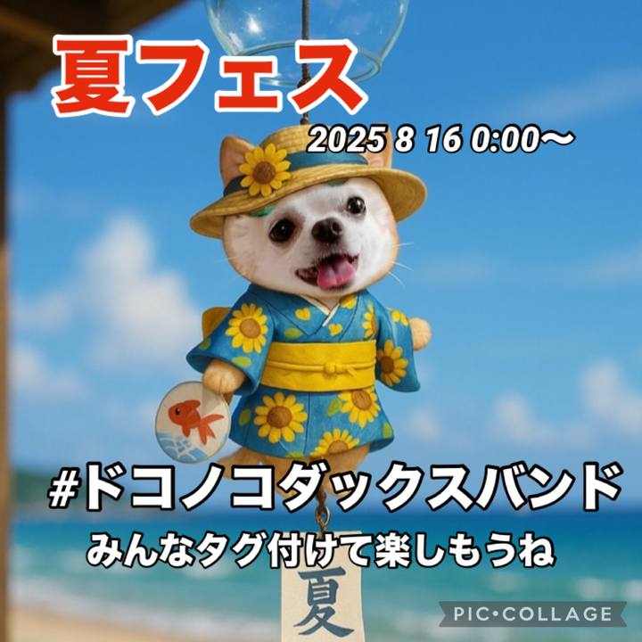 28260446 d572 43f3 bd45 24433649c4c1 1755223585892