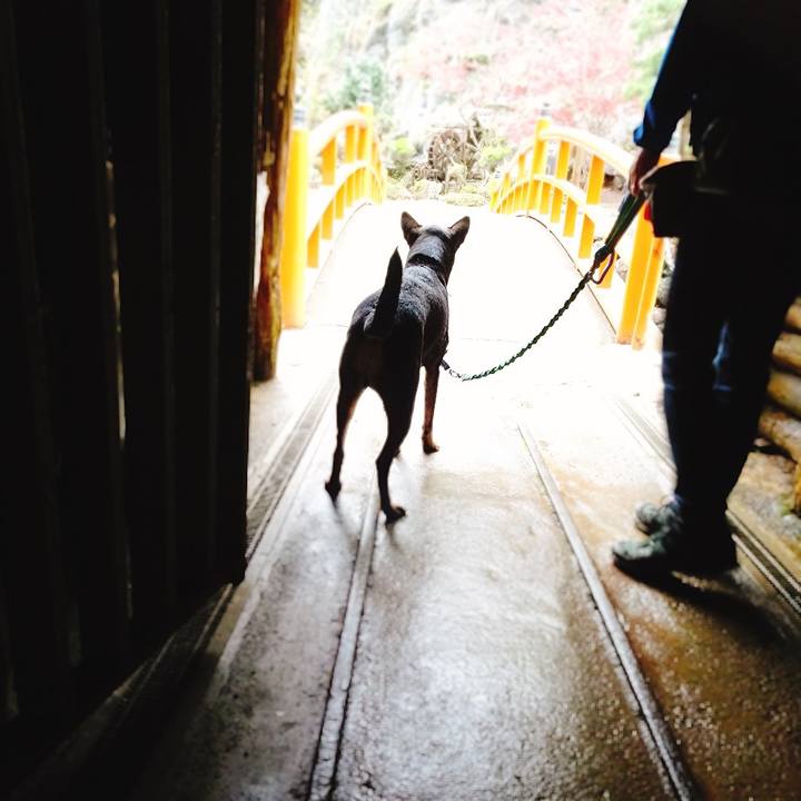 28261ec0 92fa 44e4 8669 7d4beb4e7207 1556719454228