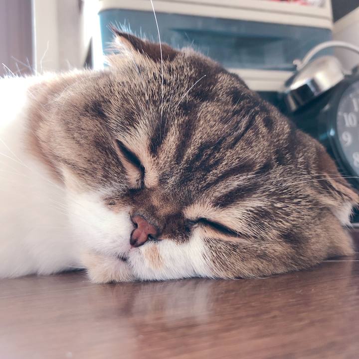 28264d6b 4007 4599 84f6 293f0b71d357 1566297277388