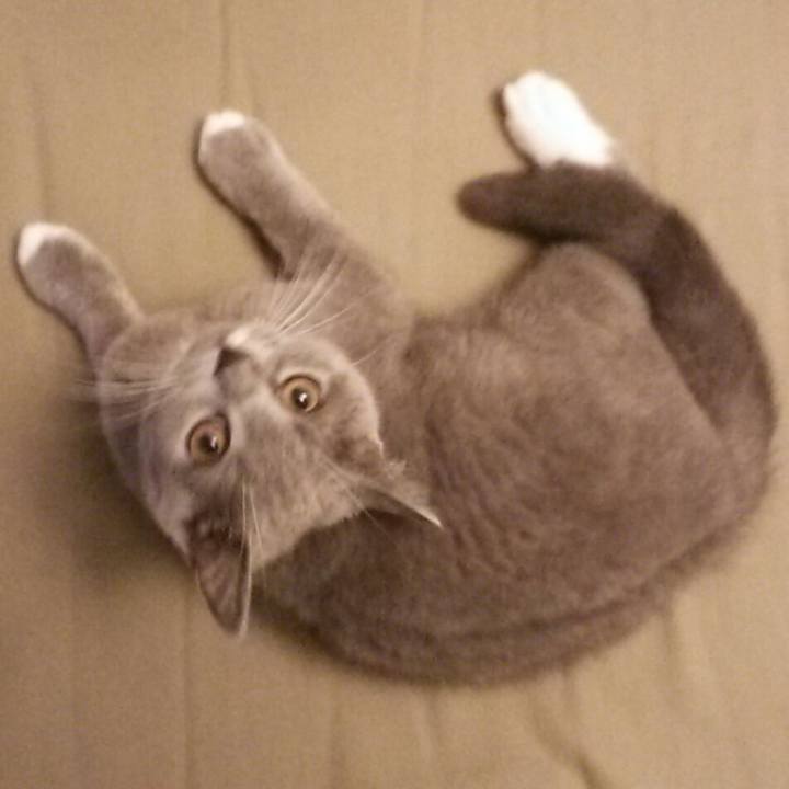 28265ab9 78b8 45cb 9791 492fb5c13c74 1534458452116