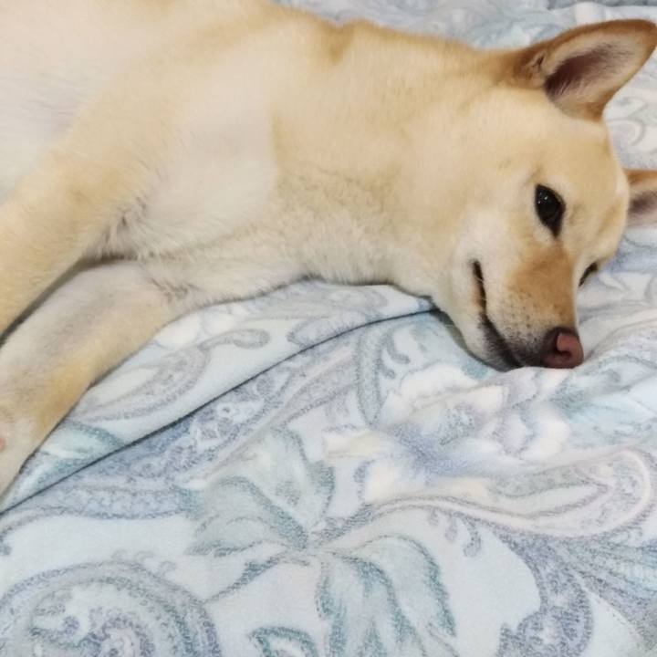 28266279 78d6 41e1 a78d ac7ce00af435 1529928282953