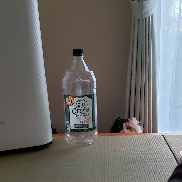 28266460 d06e 4071 9a95 c0201148fee5 1651666172489