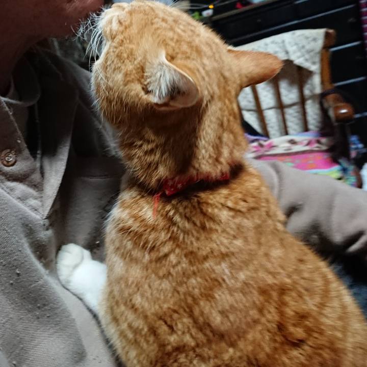 2826788d 973d 4d95 a73a 95004b410c2d 1578945253516