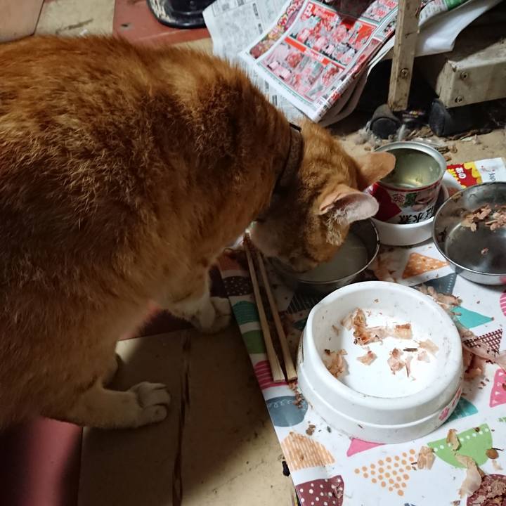 28267edd b8b9 4aad 8ca8 81c7f6a8b30b 1590867385458