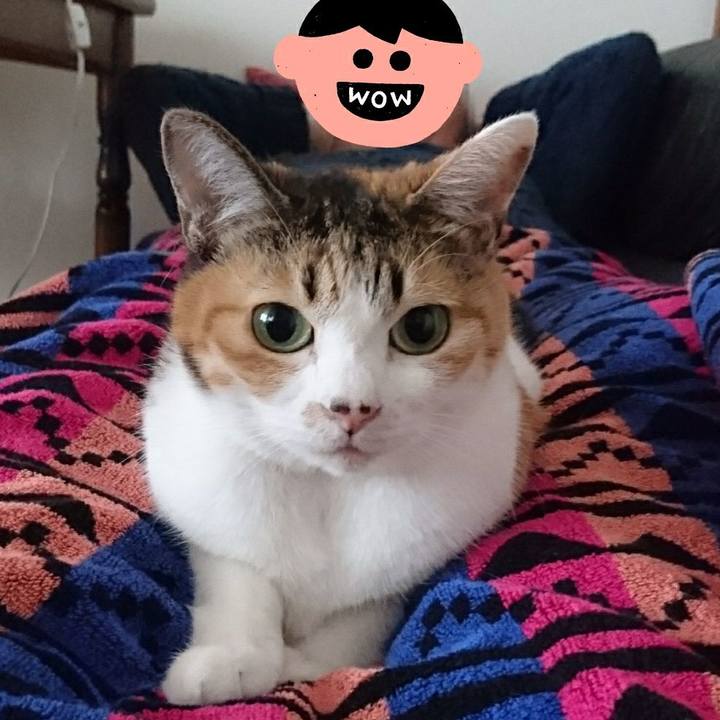 28268e4e 6b19 459a a277 46f0a95503d9 1546578953292