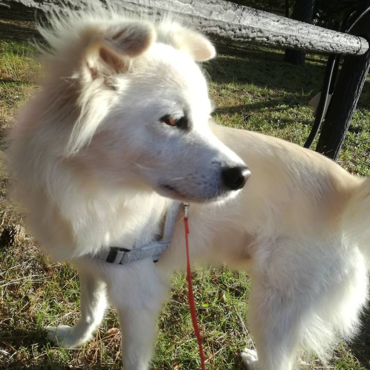 28268fea 59bf 4fb4 a720 8f35192d4fff 1509410969862