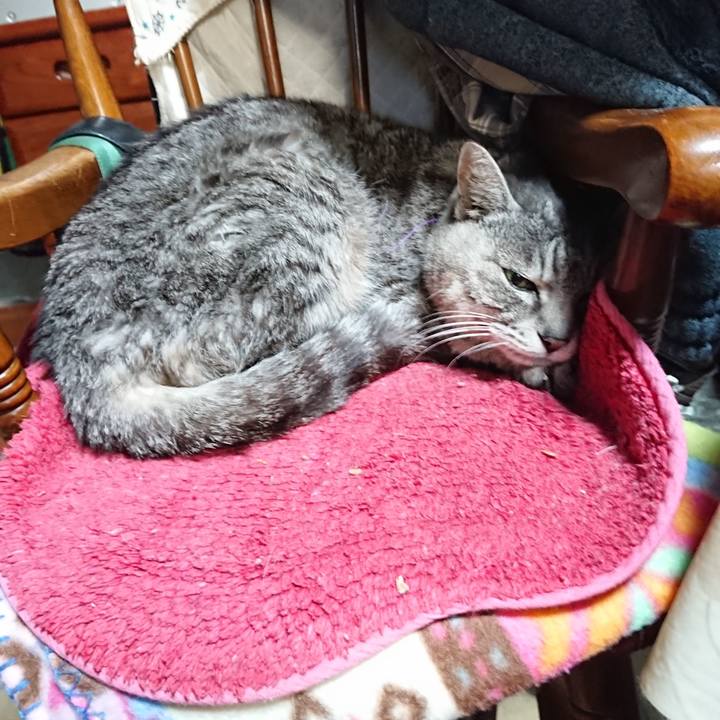 2826954c 90da 4044 a499 38f9427b847f 1581552409817