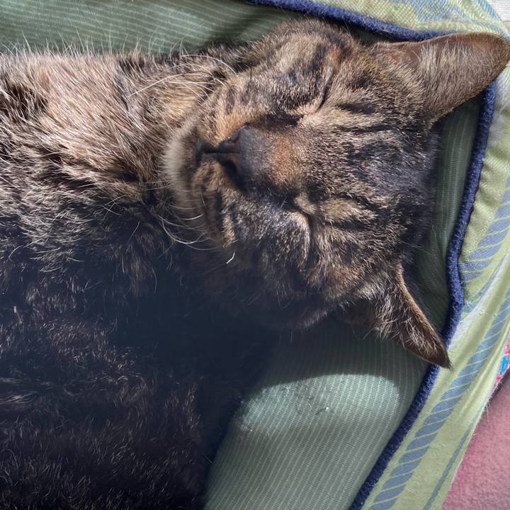 28271e42 7fbe 4f9f 9cc0 0c44746de731 1651302213836