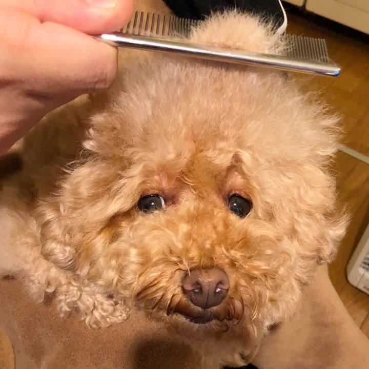 28273076 af63 45e5 bc2a f83dcd430922 1508591292082