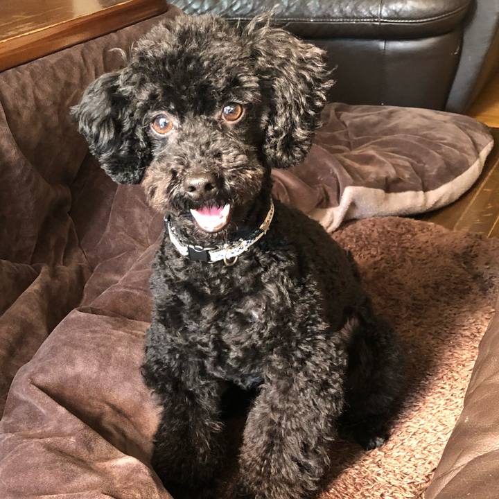 2827616e 46bd 48cb ab27 191a8a07eeee 1547342389278