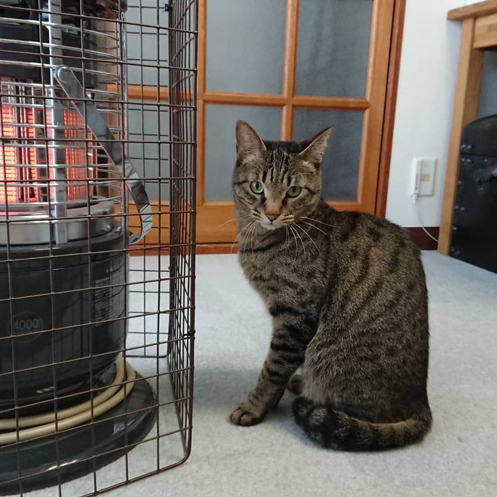 28277d21 99e6 4479 ae4e f019a1a1f990 1517008776605