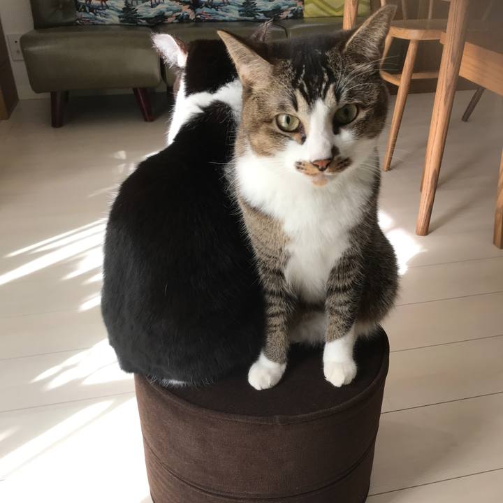 2827ade8 eace 4c93 815a a5ea7baa9f31 1572674067999