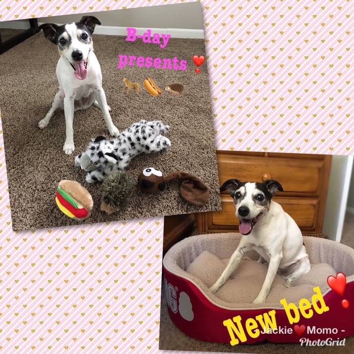 2827b7aa d5c1 4a86 ad3f da8c11c0e35b 1566338817558