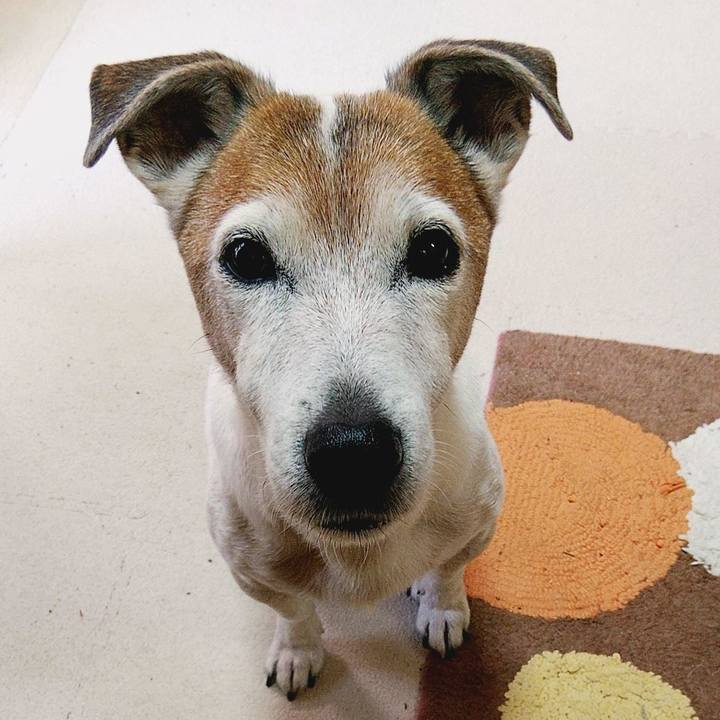 2827b83a 9f20 48a3 8d8b e72cf141eefe 1586300278609