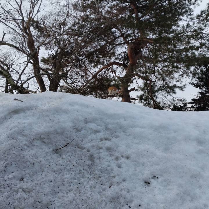 2827dd3b a8dc 4337 aa3b 2f201eb8966d 1741646039685