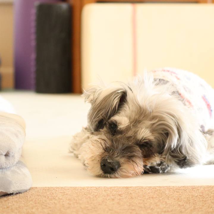 28281bca 4bb1 4a2b 8ae1 66e5e10ec5c5 1771485518142