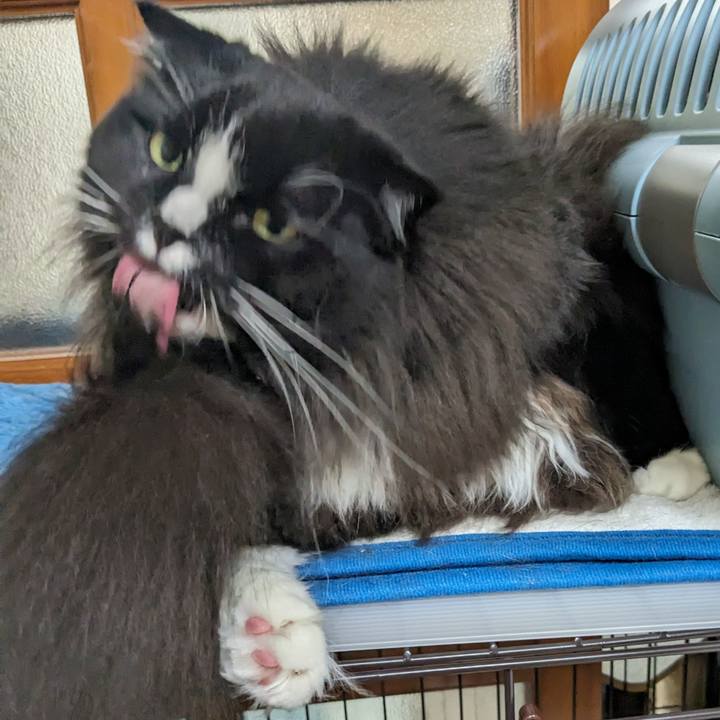 282829f2 de04 459c 9fae 7aef87436acb 1691810386656