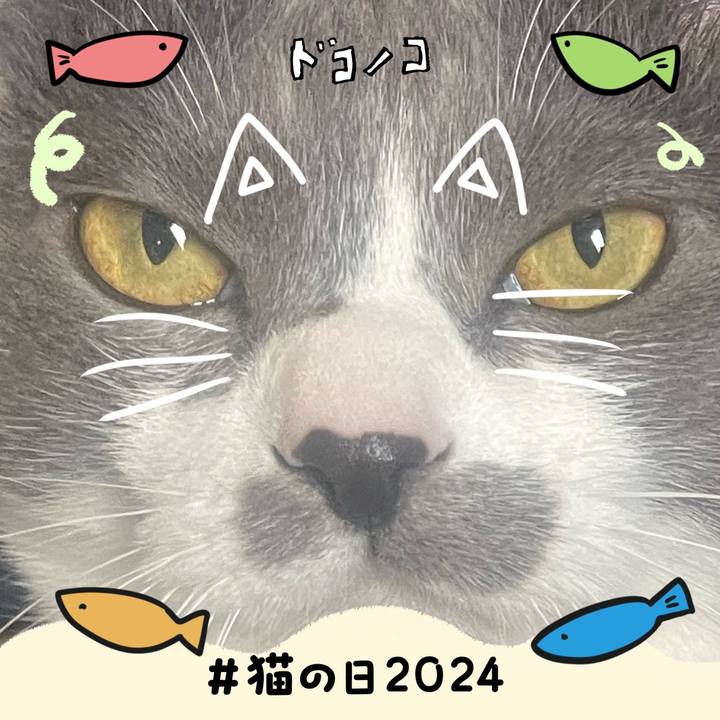 28285554 7a8c 40bc bd21 39568a2f3f39 1708568385870