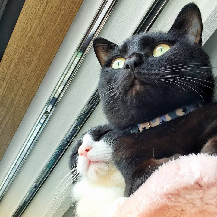 28285851 d000 4e44 bc1f cef7701d4c1e 1530003601032