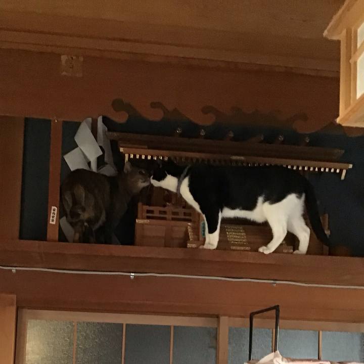 28287709 6984 4573 bc37 7f55caaf8c19 1643354086628