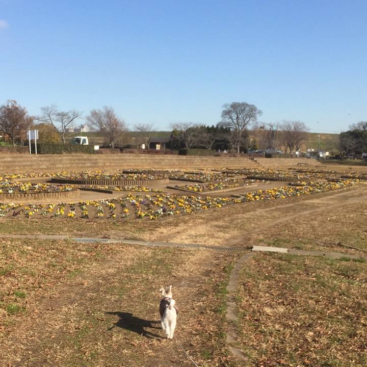 282890b7 f547 46f7 a900 f472ee778bfa 1513576584102